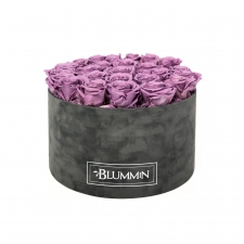 XL BLUMMIN - DARK GREY VELVET BOX WITH LILAC ROSES