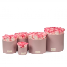 PINK CERAMIC POT WITH LOVELY PINK ROSES