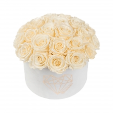  BOUQUET WITH 25 ROSES - LARGE LOVE WHITE VELVET BOX WITH PEARL CHAMPAGNE AND CHAMPAGNE ROSES