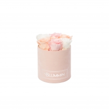 SMALL BLUMMiN - LIGHT PINK VELVET BOX WITH MIX (ICE PINK, BRIDAL PINK, WHITE) ROSES