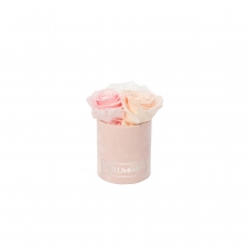 XS BLUMMiN - LIGHT PINK VELVET BOX WITH MIX ROSES