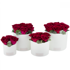 WHITE CERAMIC POT WITH CHERRY ROSES AND EUCALYPTUS