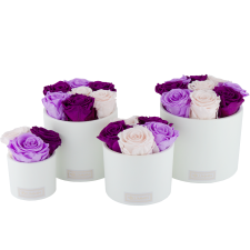 WHITE CERAMIC POT WITH MIX (ICE PINK, PLUM, BABY LILLY) ROSES