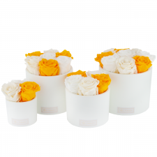 WHITE CERAMIC POT WITH MIX (WHITE, CHAMPAGNE, YELLOW) ROSES