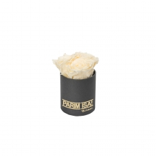 -20% PARIM ISA - XS TUMEHALL KARP CHAMPAGNE KAUASÄILIVATE ROOSIDEGA