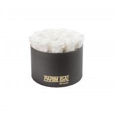 -20% PARIM ISA - LARGE TUMEHALL KARP WHITE KAUASÄILIVATE ROOSIDEGA