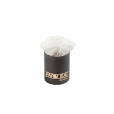 -20% PARIM ISA - XS TUMEHALL KARP WHITE KAUASÄILIVATE ROOSIDEGA