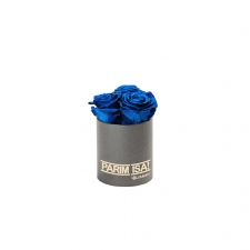 -20% PARIM ISA - XS TUMEHALL KARP OCEAN BLUE KAUASÄILIVATE ROOSIDEGA