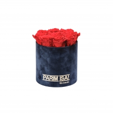 -20% PARIM ISA - MEDIUM TUMESININE SAMETKARP VIBRANT RED KAUASÄILIVATE ROOSIDEGA