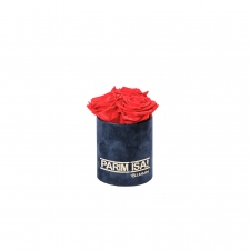 -20% PARIM ISA - XS TUMESININE SAMETKARP VIBRANT RED KAUASÄILIVATE ROOSIDEGA