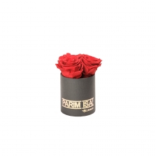 -20% PARIM ISA - XS TUMEHALL KARP VIBRANT RED KAUASÄILIVATE ROOSIDEGA