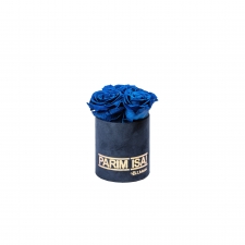 -20% PARIM ISA - XS TUMESININE SAMETKARP OCEAN BLUE KAUASÄILIVATE ROOSIDEGA