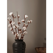 COTTON 1TK