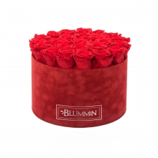 EXTRA LARGE BLUMMIN RED VELVET BOX WITH VIBRANT RED ROSES