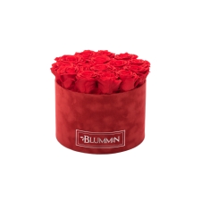 LARGE BLUMMIN RED VELVET BOX WITH VIBRANT RED ROSES