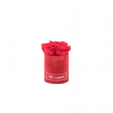 XS BLUMMiN - RED VELVET BOX WITH VIBRANT RED ROSES