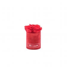 XS BLUMMiN - RED VELVET BOX WITH VIBRANT RED ROSES