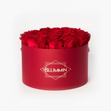 EXTRA LARGE RED BOX WITH  VIBRANT RED ROSES NB! КОРОБКА СО СТАРЫМ ЛОГОТИПОМ