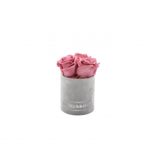 XS BLUMMIN - LIGHT GREY VELVET BOX WITH VINTAGE PINK ROSES