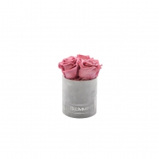 XS BLUMMiN - HELEHALL SAMETKARP VINTAGE PINK KAUASÄILIVATE ROOSIDEGA
