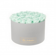 XL BLUMMiN - LIGHT GREY BOX WITH MINT ROSES