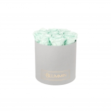 -20% MEDIUM BLUMMiN HELEHALL KARP MINT KAUASÄILIVATE ROOSIDEGA