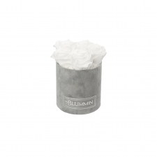 BLUMMIN MIDI LIGHT GREY VELVET BOX WITH  WHITE ROSES