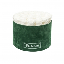 EXTRA LARGE BLUMMiN - roheline sametkarp WHITE uinuvate roosidega