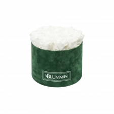 LARGE BLUMMiN - GREEN VELVET BOX WITH WHITE ROSES