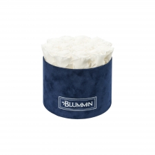 LARGE BLUMMiN - tumesinine sametkarp WHITE roosidega