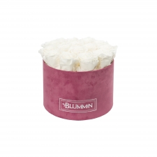 LARGE BLUMMiN - LIGHT PURPLE VELVET BOX WITH WHITE ROSES