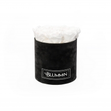 MEDIUM VELVET BLACK BOX WITH WHITE ROSES