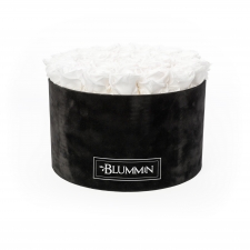 XL BLUMMiN - VELVET BLACK BOX WITH WHITE ROSES