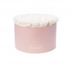XL BLUMMiN - LIGHT PINK BOX WITH WHITE ROSES