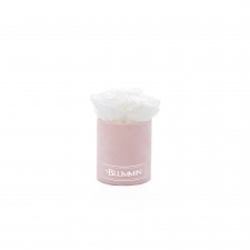 XS BLUMMiN - LIGHT PINK VELVET BOX WITH WHITE ROSES