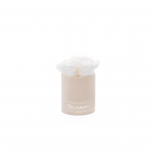 XS BLUMMiN - NUDE VELVET BOX WITH WHITE ROSES