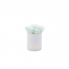 XS BLUMMIN - WHITE BOX WITH MINT ROSES
