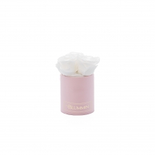 XS BLUMMiN - heleroosa karp WHITE roosidega