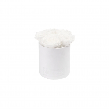 MIDI BLUMMIN WHITE VELVET BOX WITH WHITE ROSES
