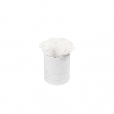 XS BLUMMiN WHITE VELVET BOX WITH WHITE ROSES