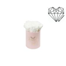 XS LOVE - LIGHT PINK VELVET BOX WITH WHITE ROSES
