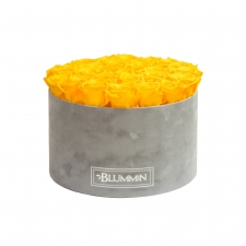 XL LIGHT GREY VELVET BOX WITH YELLOW ROSES