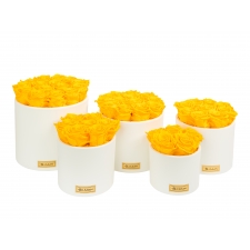 CREAM WHITE CERAMIC POT WITH YELLOW ROSES