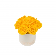 BUKETT 7 ROOSIGA - MIDI KREEMIKASVALGE KARP YELLOW ROOSIDEGA
