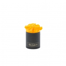 XS BLUMMiN - BLACK BOX WITH YELLOW ROSES