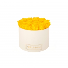 LARGE BLUMMiN - kreemikasvalge karp YELLOW roosidega