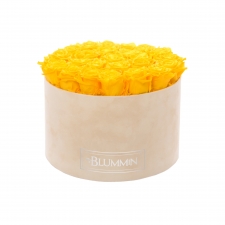 EXTRA LARGE VELVET NUDE BOX WITH YELLOW ROSES