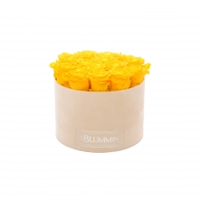 LARGE VELVET NUDE BOX WITH YELLOW ROSES