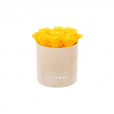 MEDIUM BLUMMIN NUDE VELVET BOX WITH YELLOW ROSES
