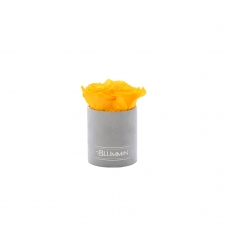 XS BLUMMiN - LIGHT GREY VELVET BOX WITH YELLOW ROSES